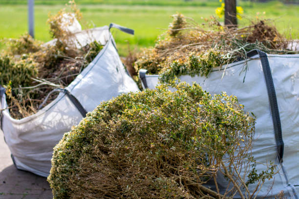 Basement Cleanout Services in Camanche Village, CA
